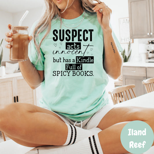 Kindle Full Of Spicy Books Shirt, Comfort Colors® Bookish Humor Tee, Spicy Romance Reader Shirt, Funny Book Lover Gift, Booktok Reader Tee